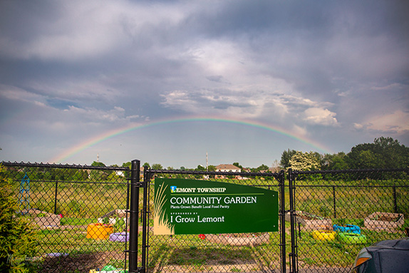 Community Garden Rainbow